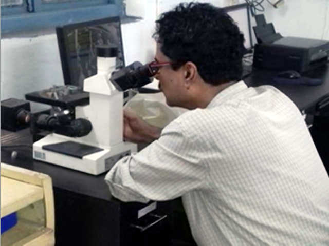 Micro Examination Pic